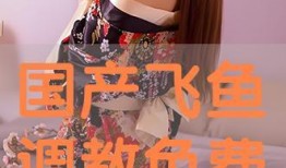 国产调教在线播放,揭秘在线播放背后的激情与魅力