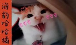 国产偷怕,揭秘镜头背后的真实情感与生活