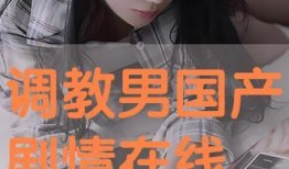 国产调教网站,探索中国网络文化的新领域