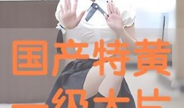 国产黄p,揭秘中国影视产业的灰色地带