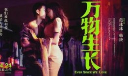 激情国产片,国产电影中的激情与梦想